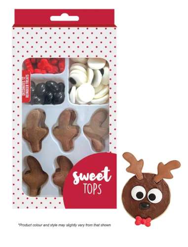 Reindeer Decorating Kit - Click Image to Close